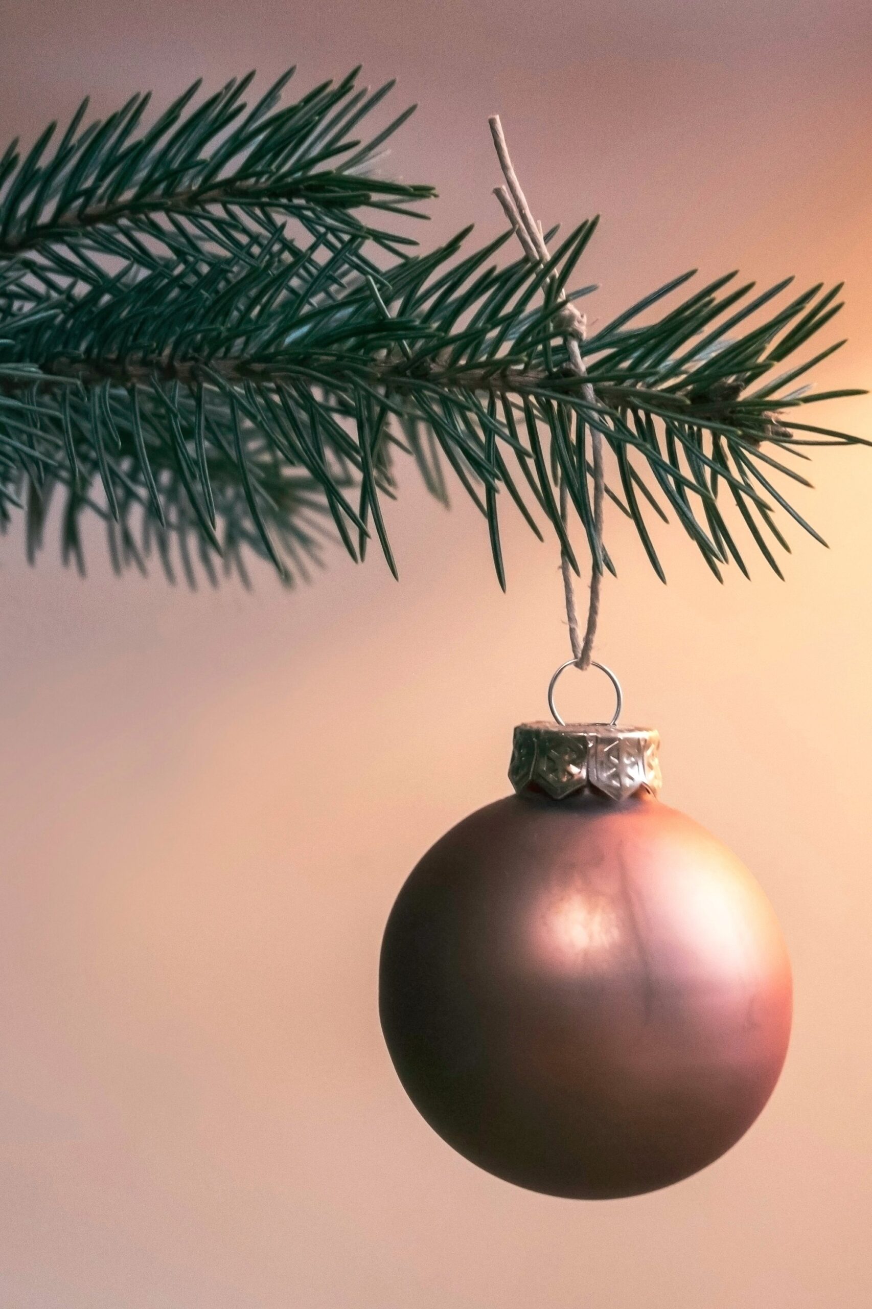Translucent glass ball ornament on a branch