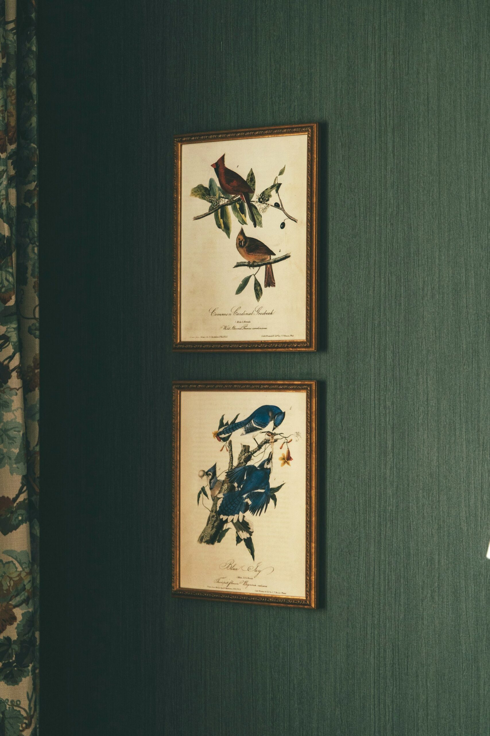 Two framed botanical prints on a dark green wall