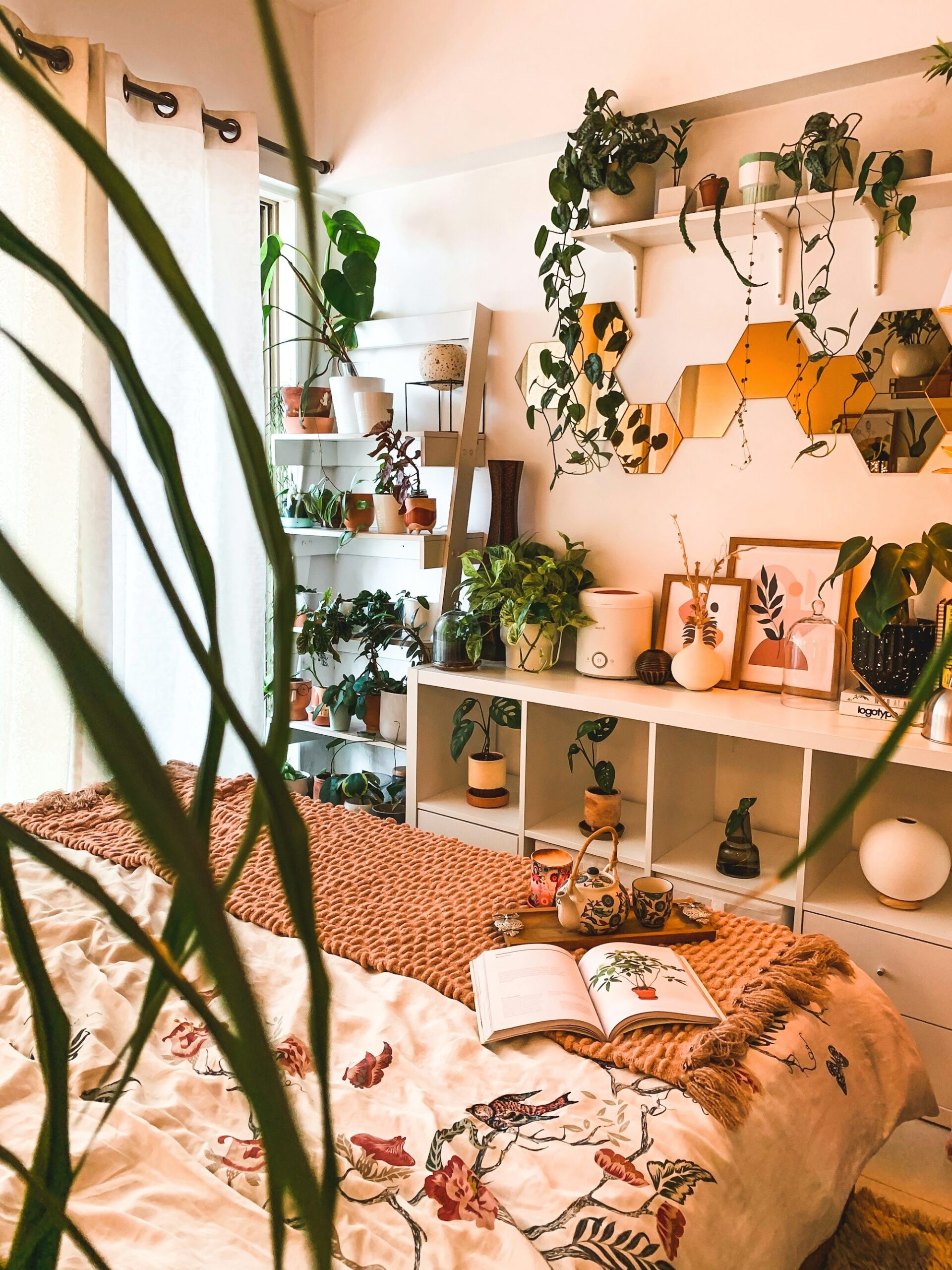 Boho bedroom with shelves full of plants above the bed