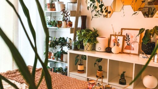 Boho bedroom with shelves full of plants above the bed