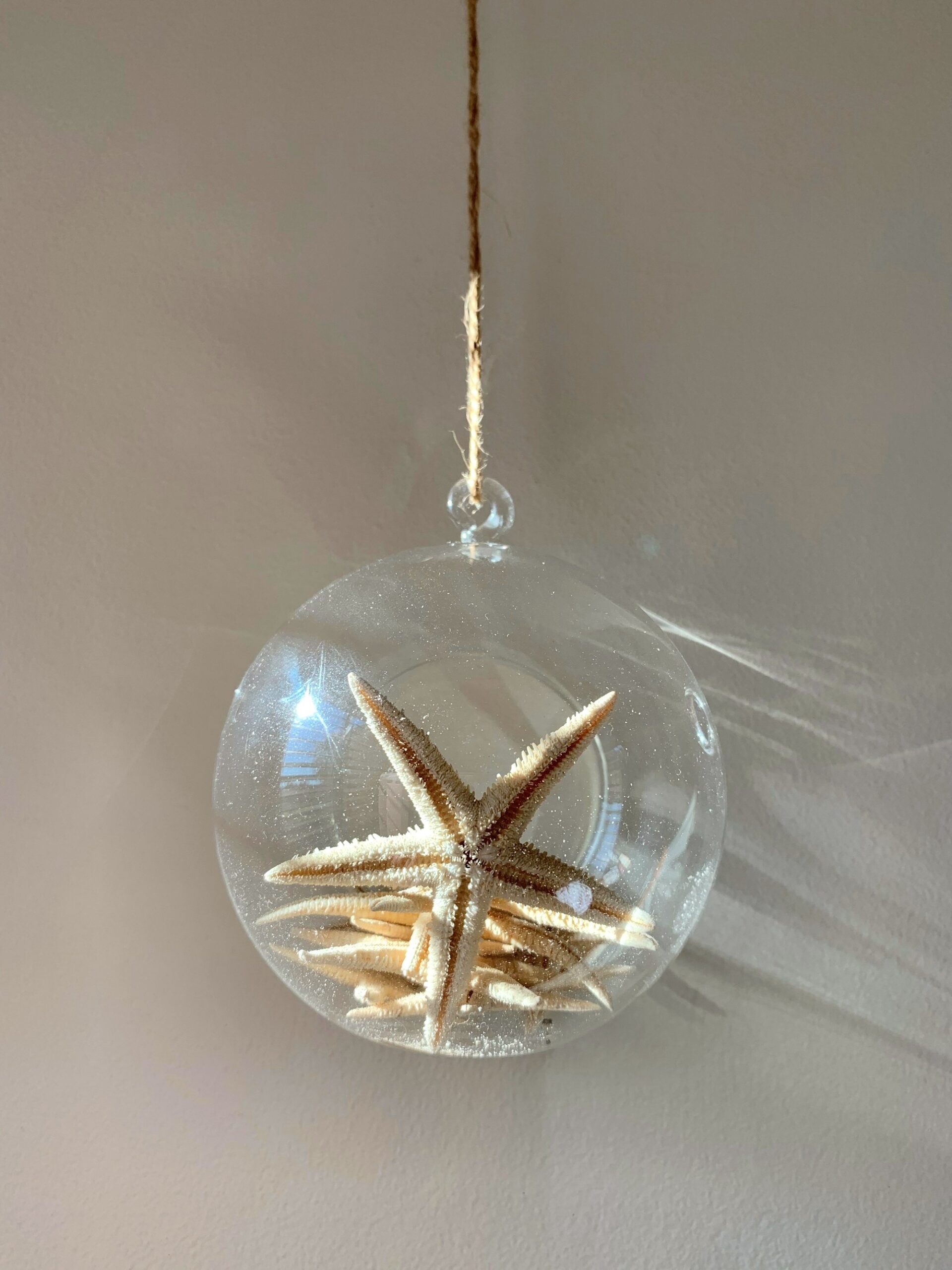 Clear glass ornament filled with sand and a starfish